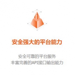 安全强大的平台能力