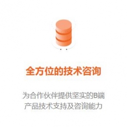 全方位的技术咨询